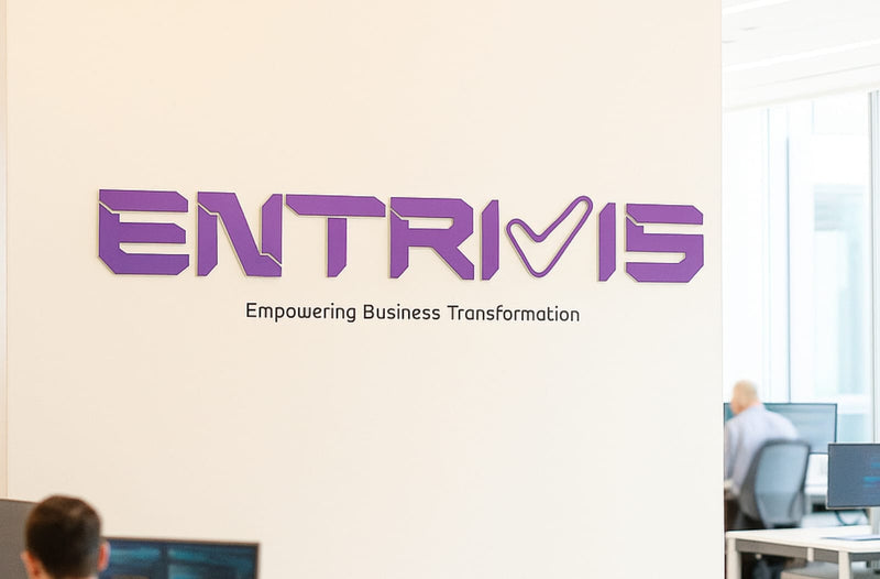 Entrivis – Website UI Design